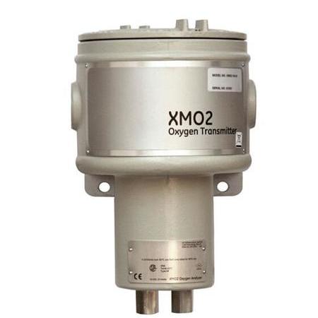 Panametrics XMO2氧氣變送器